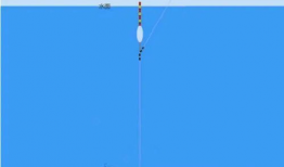 钓鱼调漂视频,视频教程深度解读